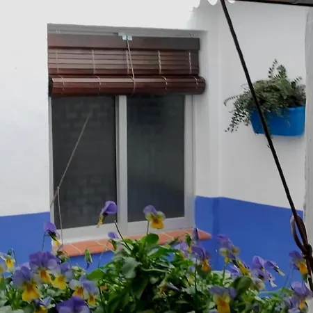 Appartement Sara Homes Juderia Wifi Y Patio Cordobes Privado Cordoue