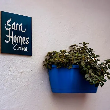Sara Homes Juderia Wifi Y Patio Cordobes Privado * Córdoba